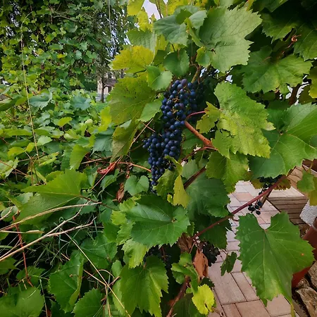 Ondrasovska Skala Prázdninový dům Ondrasova