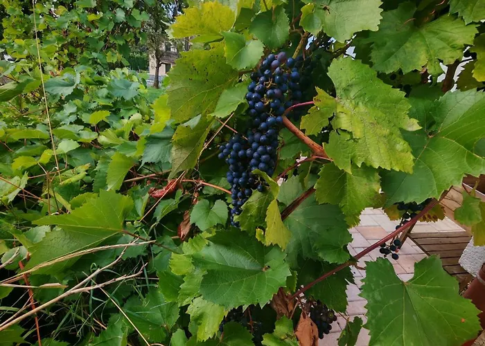 Ondrasovska Skala Ferienhaus Ondrasova
